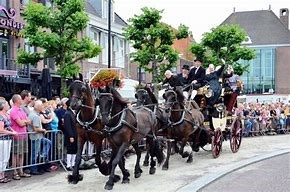 Westfriese markt Schagen