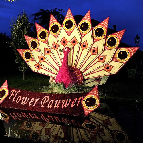 Floralia Nieuwe Niedorp